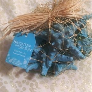BRIGHTEN THE SEASON SEAS..STARFISH